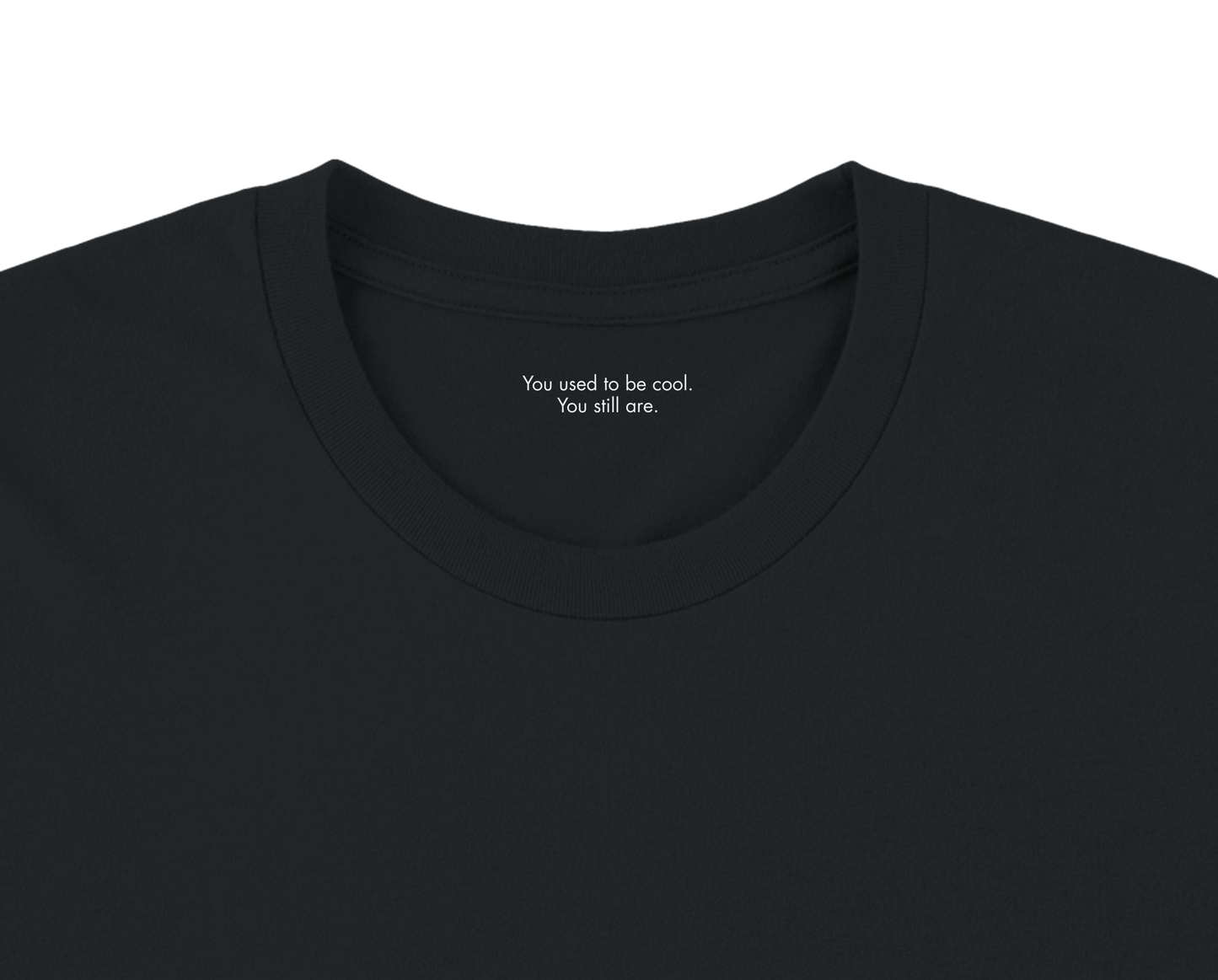 Ironic Millennial Tee – I Used to Be Punk | Premium Black Unisex Heavyweight T-Shirt