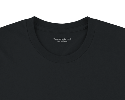 Ironic Millennial Tee – I Used to Be Punk | Premium Black Unisex Heavyweight T-Shirt